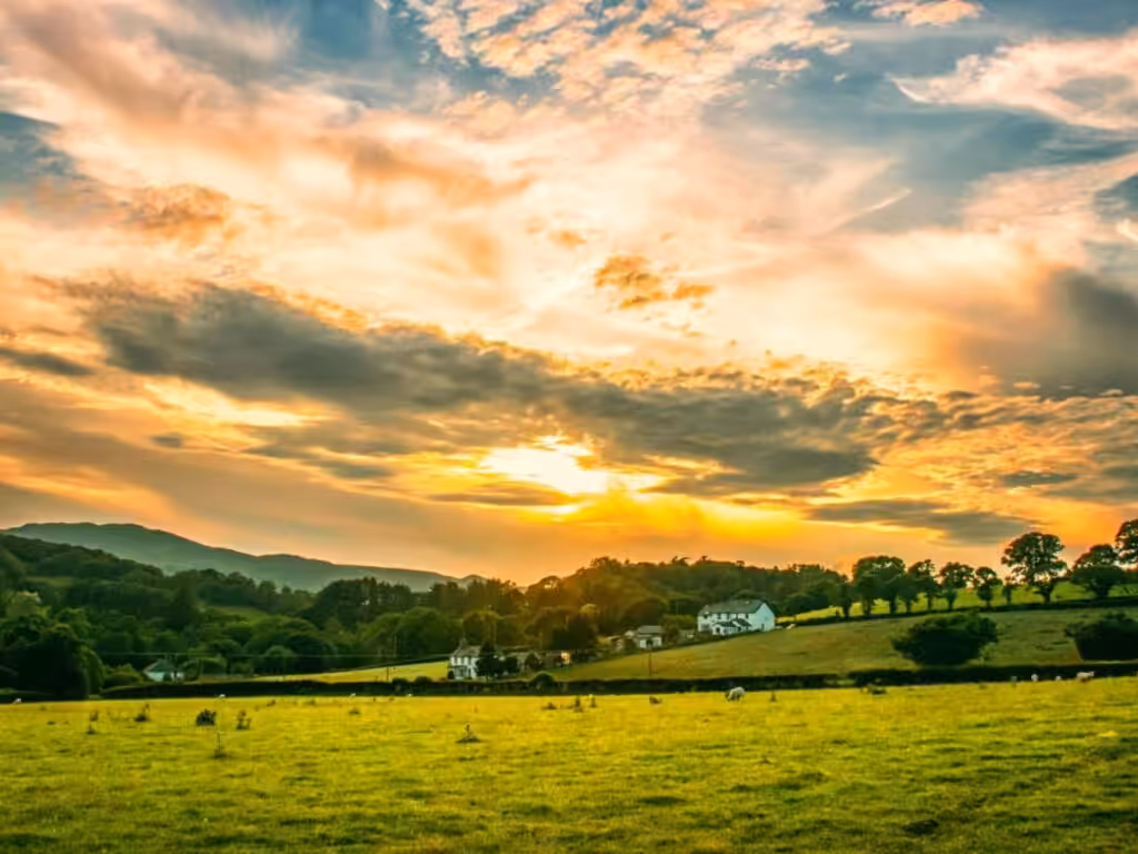 farms & rural properties